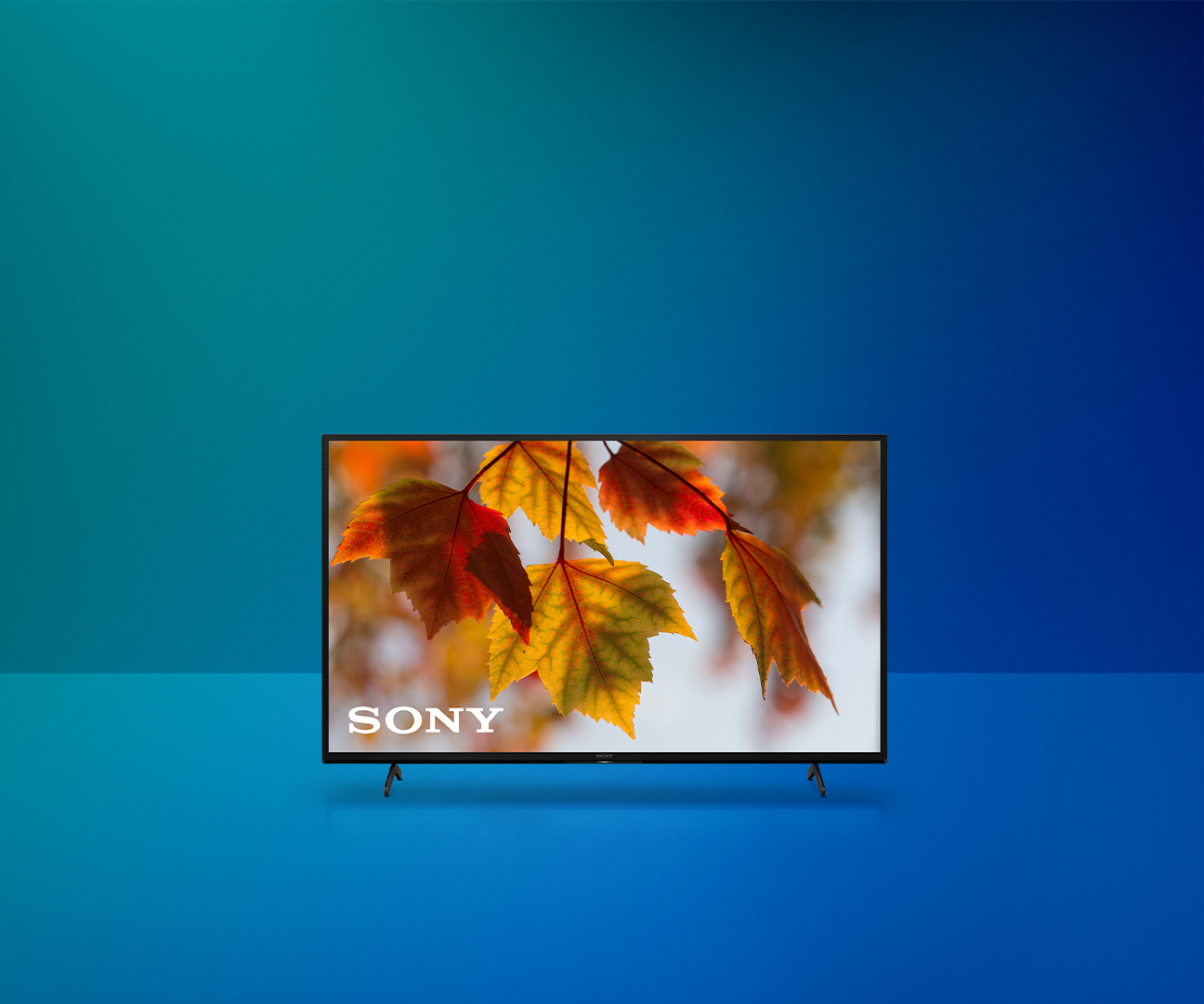 Herbst-Deal: Sony-TV für 99.- statt 899.- 