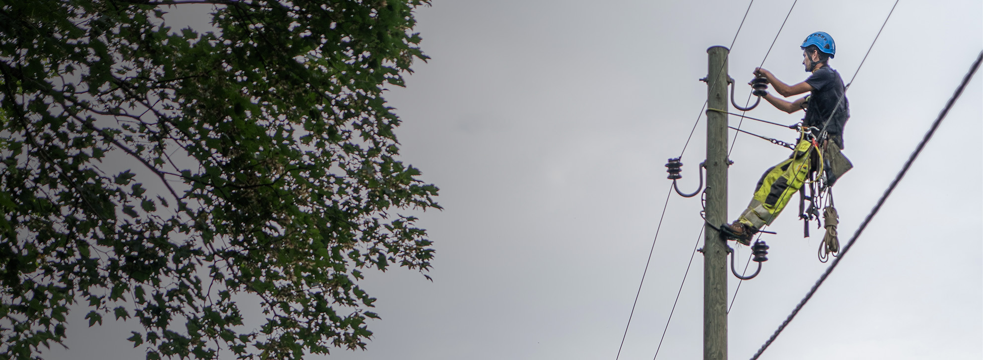 Netzelektriker hängt an Strommast, links daneben ist die Krone eines Baumes