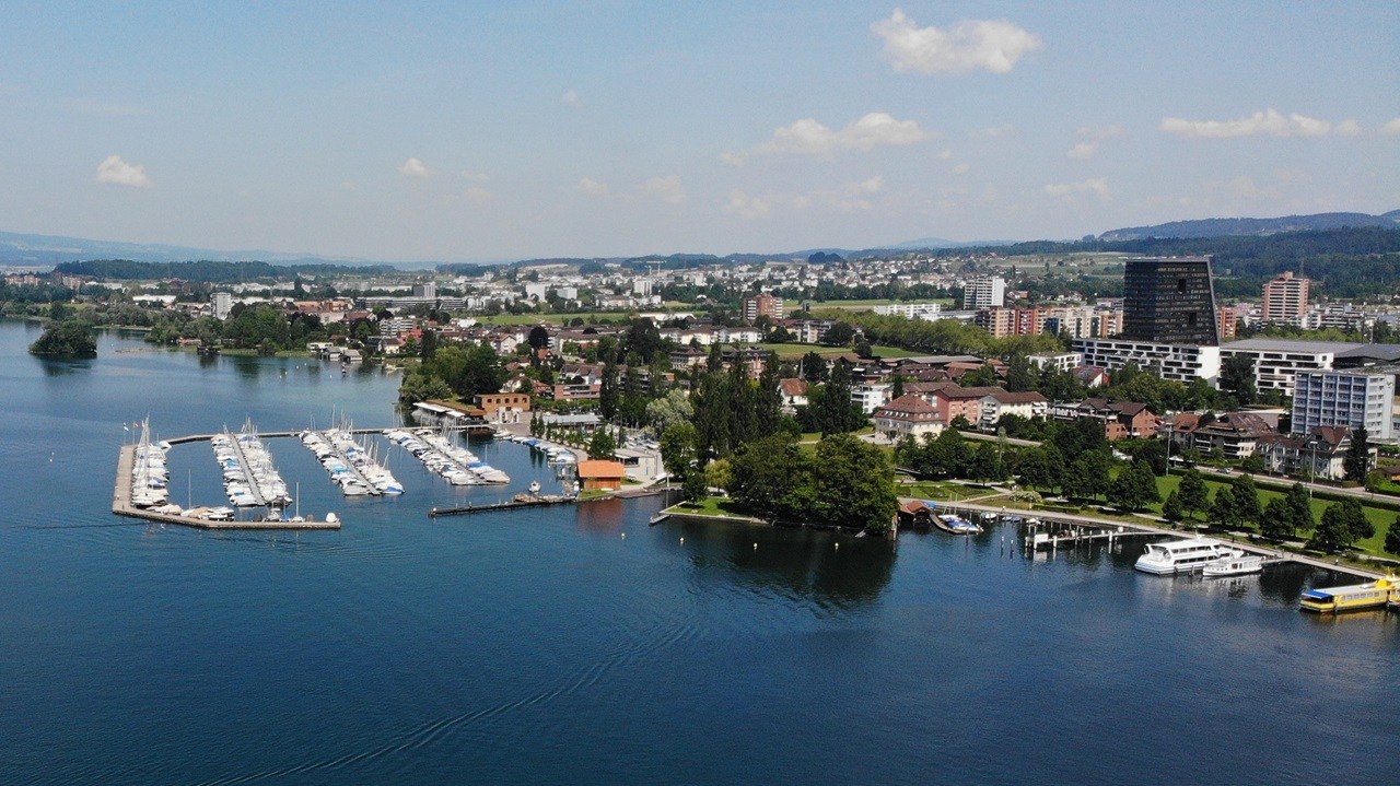 Ufer des Zugersees