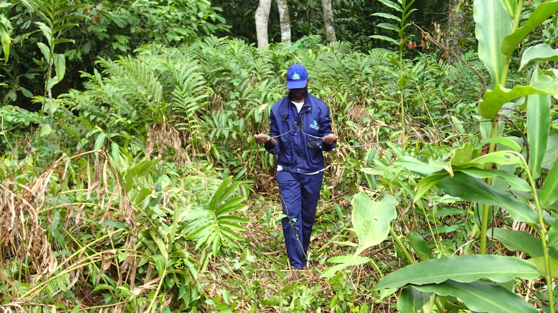 Brunnenbau in Kamerun