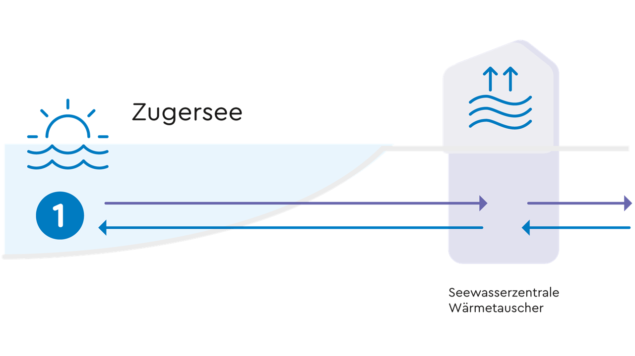 Infografik: Zugersee