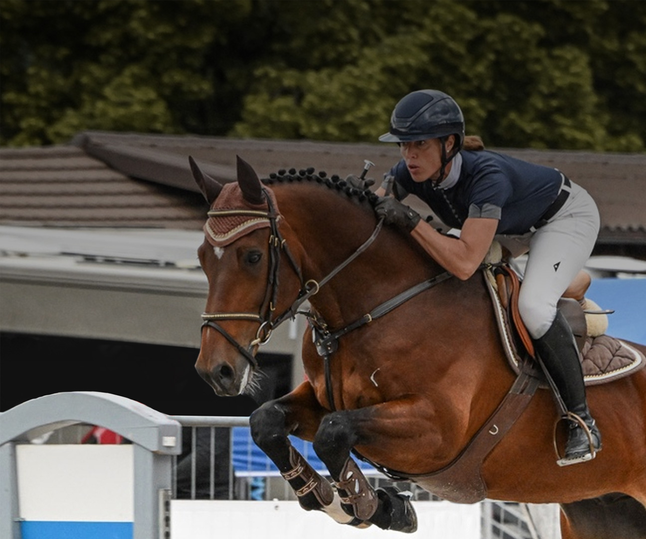 Zuger Springkonkurrenz 